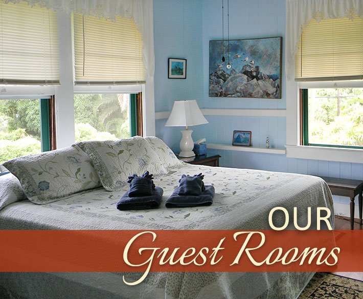 Our Guest Rooms